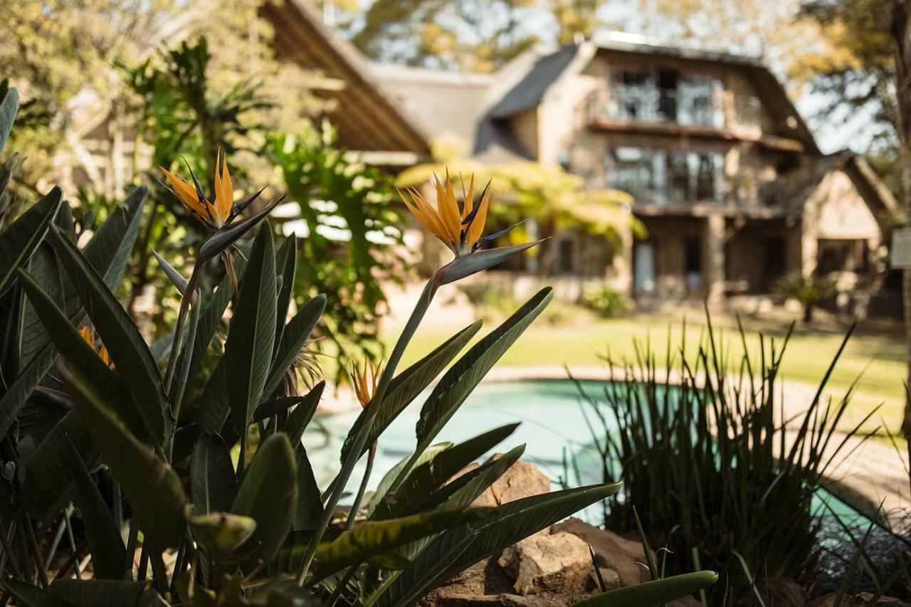 50 On Shepherd Boutique Guest House Sandton Eksteriør bilde